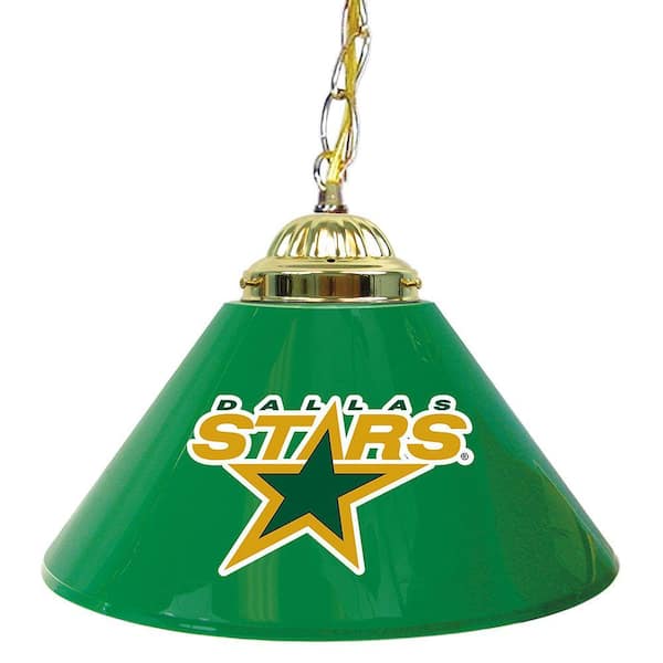 Trademark NHL Dallas Stars 14 in. Single Shade Stainless Steel Hanging Lamp