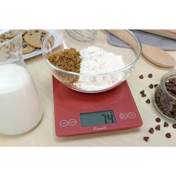 Escali Arti Digital Glass Scale - Shiny Silver - Philly Homebrew Outlet