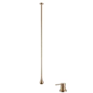 Single-Handle Ceiling Mount Bathroom Faucet in Brushed Gold