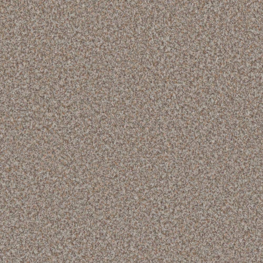 8 in. x 8 in. Texture Carpet Sample - Folklore II - Color Tradition price history on PriceWatchPro