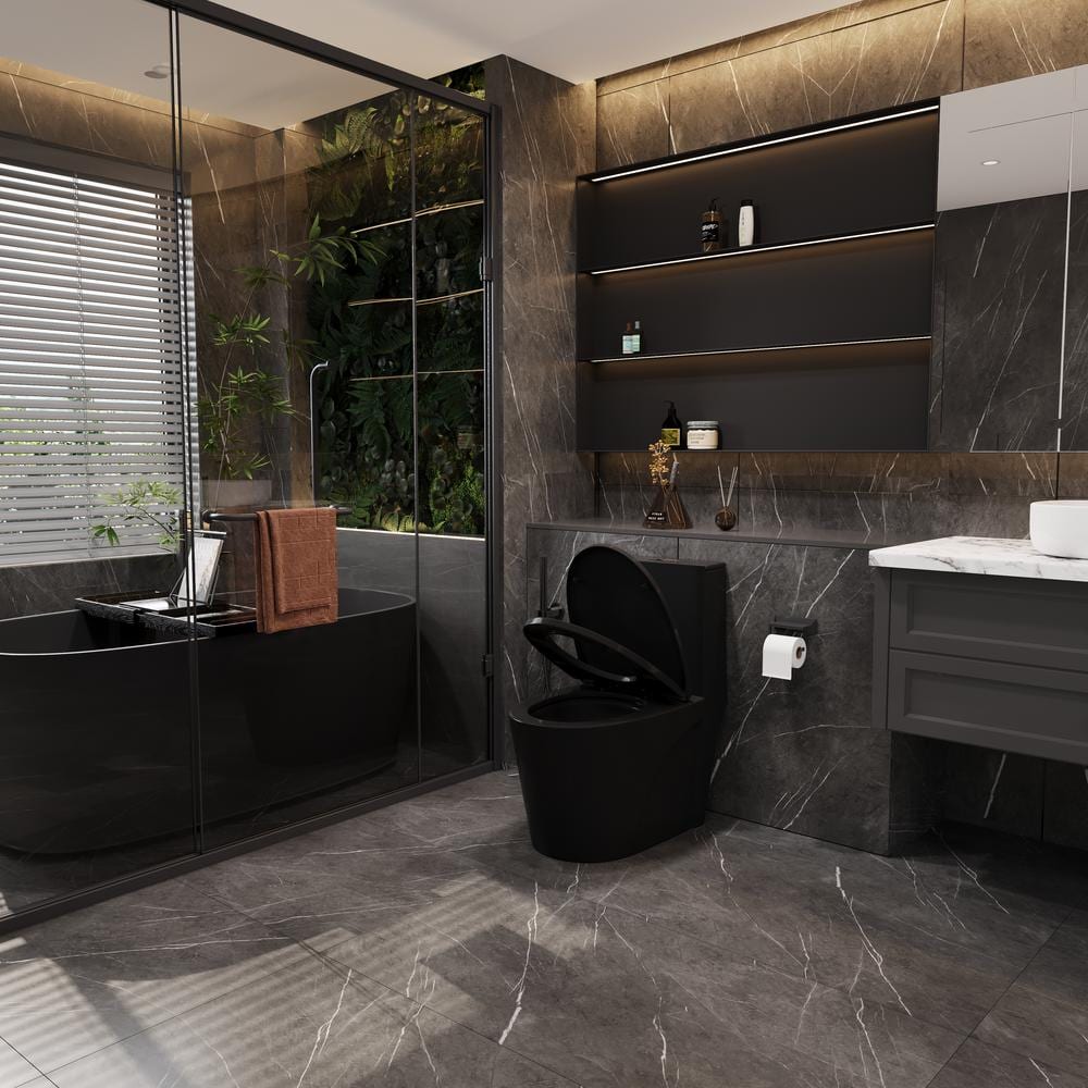 Matte Black Ceramic Dual Flush Elongated One-Piece Toilet