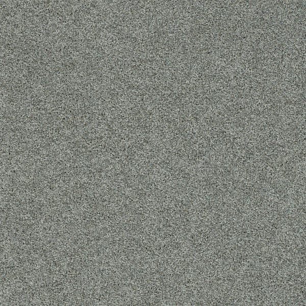 Cinderella Soft III-Velvet Gray-90 oz. SD Polyester Texture Carpet - Installation Required