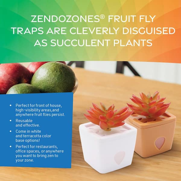 ZendoZones Fruit Fly Traps with Zendo Lure with plastic Terra