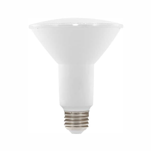 par30 bulb home depot