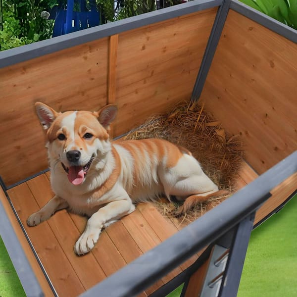 44.2 in. W x 31.7 in. D x 30.5 in. H Brown Wood Outdoor Storage
