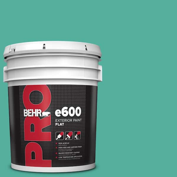 BEHR PRO 5 gal. #P440-5 Water Park Flat Exterior Paint