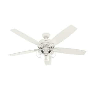 Dondra 60 in. Indoor Matte White Ceiling Fan with Light Kit Included