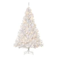 10 ft. Pre-Lit Douglas Fir Giant Tree with Warm White LED Lights