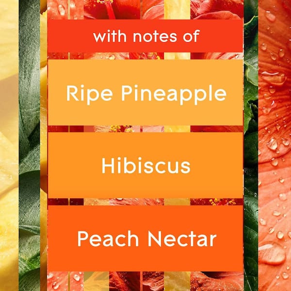 6.2 oz. Hawaiian Breeze Automatic Air Freshener Refill (2-Count)