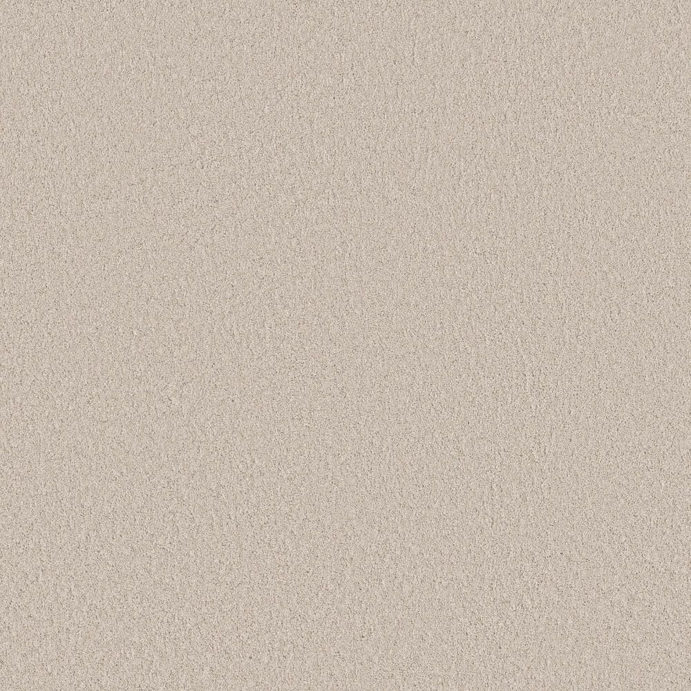 8 in. x 8 in. Texture Carpet Sample - Vignette Velvet II - Color Almond Silk price history on PriceWatchPro