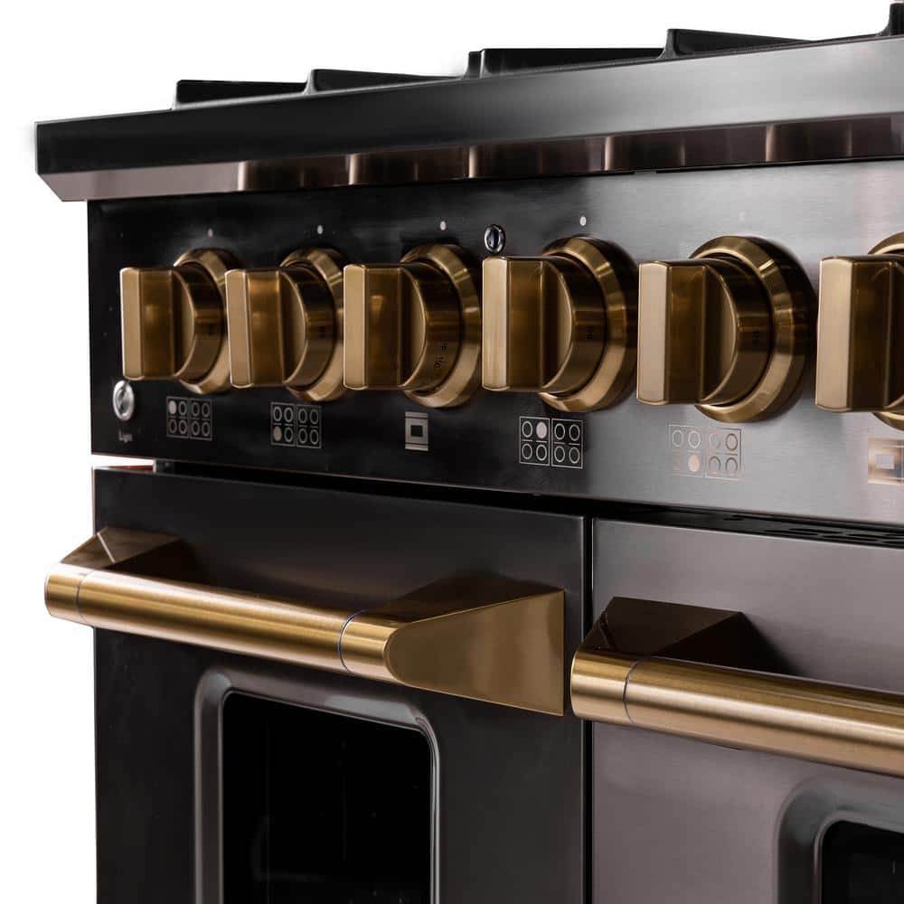 Gemstone 48-in Titanium Stainless Steel Gas Range with Gold Accents