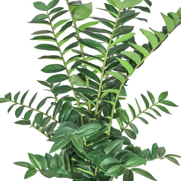 50 in. Real Touch Artificial Zamiifolia ZZ Plant in Black Pot