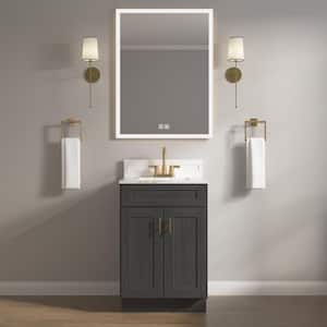24 in. W x 21 in. D x 34.5 in. H Ready to Assemble Bath Vanity Cabinet without Top in Shaker Charcoal