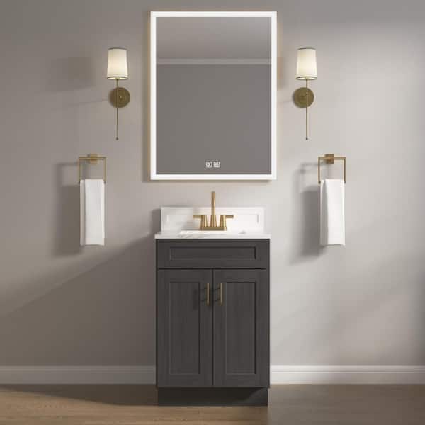 HOMLUX 24 in. W x 21 in. D x 34.5 in. H Ready to Assemble Bath Vanity Cabinet without Top in Shaker Charcoal