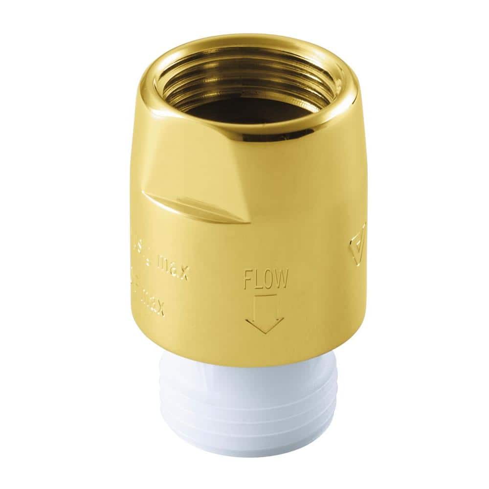 KOHLER 1/2 in. x 1/2 in. Vacuum Breaker in Vibrant Polished Brass