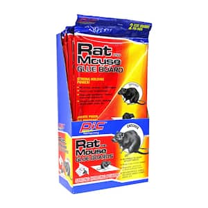 8 Pack Sticky Mouse Trap Rat Traps Indoor, Peanut Taste Pheromone Mouse  Traps Indoor for Home, Glue Sticky Traps for Mice and Rats, Snake(Large  Size)