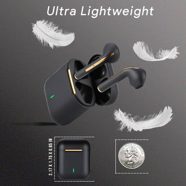 dartwood true wireless earbuds