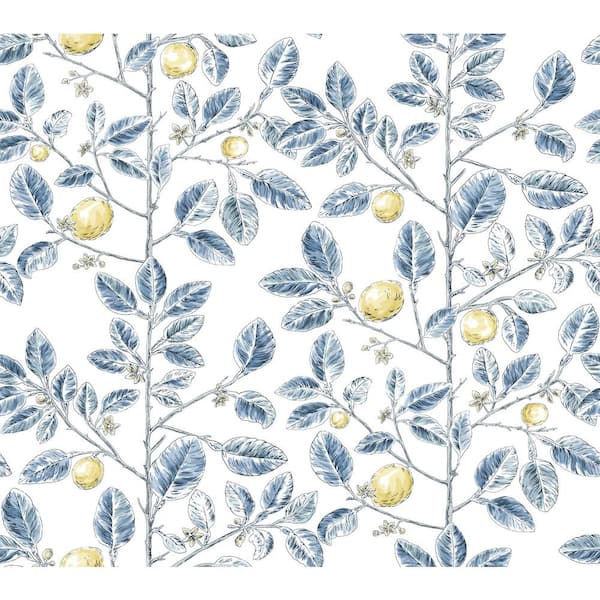 York Wallcoverings Limoncello Toile Blue Wallpaper Roll