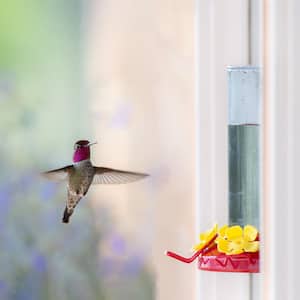 Window Mount Plastic Hummingbird Feeder - 8 oz. Capacity