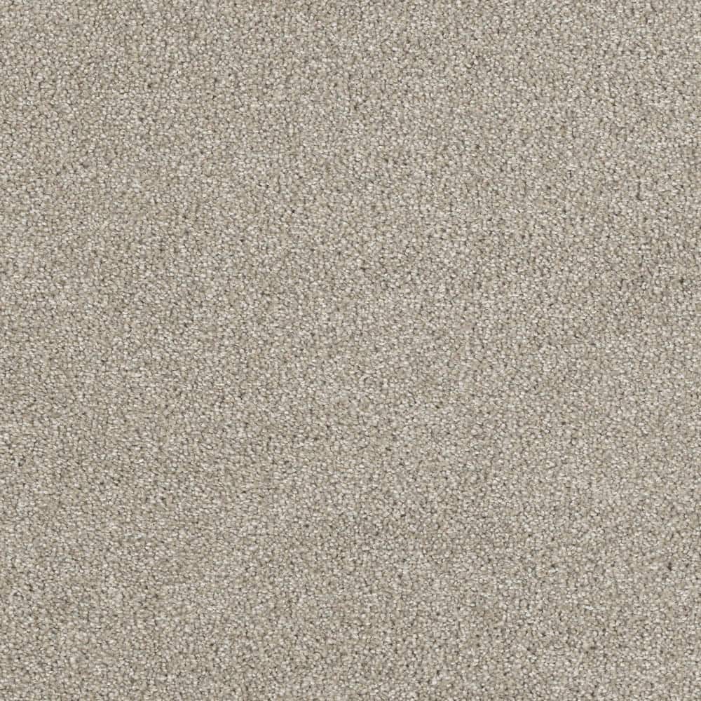 8 in. x  8 in. Texture Carpet Sample - Moonlight -Color Twinkle price history on PriceWatchPro