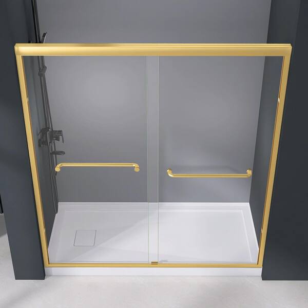 Zeafive 62 to 66 in. W x 72 in. H Double Sliding Shower Door in
