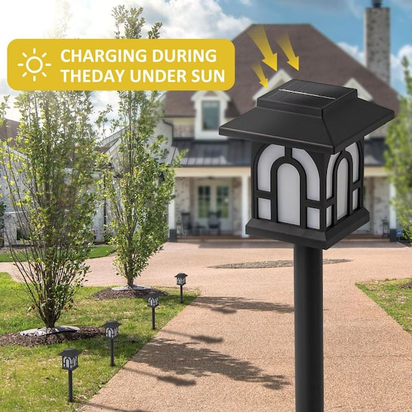 C Cattleya Black Flickering Flame 100 Lumen LED Weather Resistant