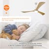 ceiling-fans-with-lights-zt-w1592122606-1f.3