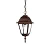 Acclaim Lighting Builder's Choice Collection 1-Light Burled Walnut ...