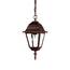 Acclaim Lighting Builder's Choice Collection 1-Light Burled Walnut ...