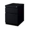 Hirsh 20 in. D 2-Drawer Black Metal Letter Width 15 in. W Mobile Pedestal File Cabinet Box-File 19308