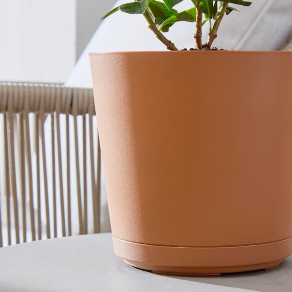 kurao✩  Amazon.com : KUTE NEST 18.7