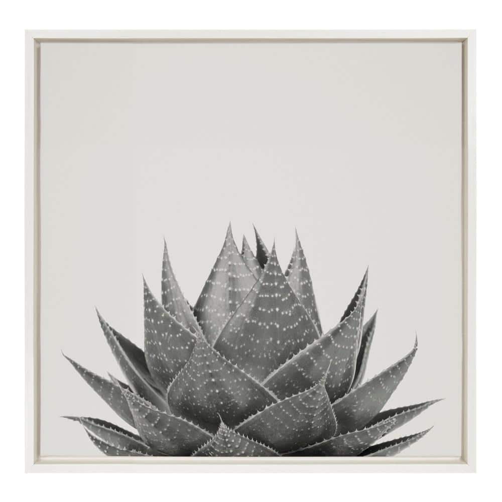 22" x 22" White Framed Abstract Aloe Canvas Print