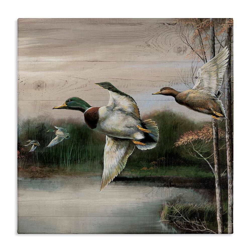 Flying Ducks in Rustic Nature by Ruane Manning Unframed Animal Graphic Art Print 24 in. x 4 in. price history on PriceWatchPro