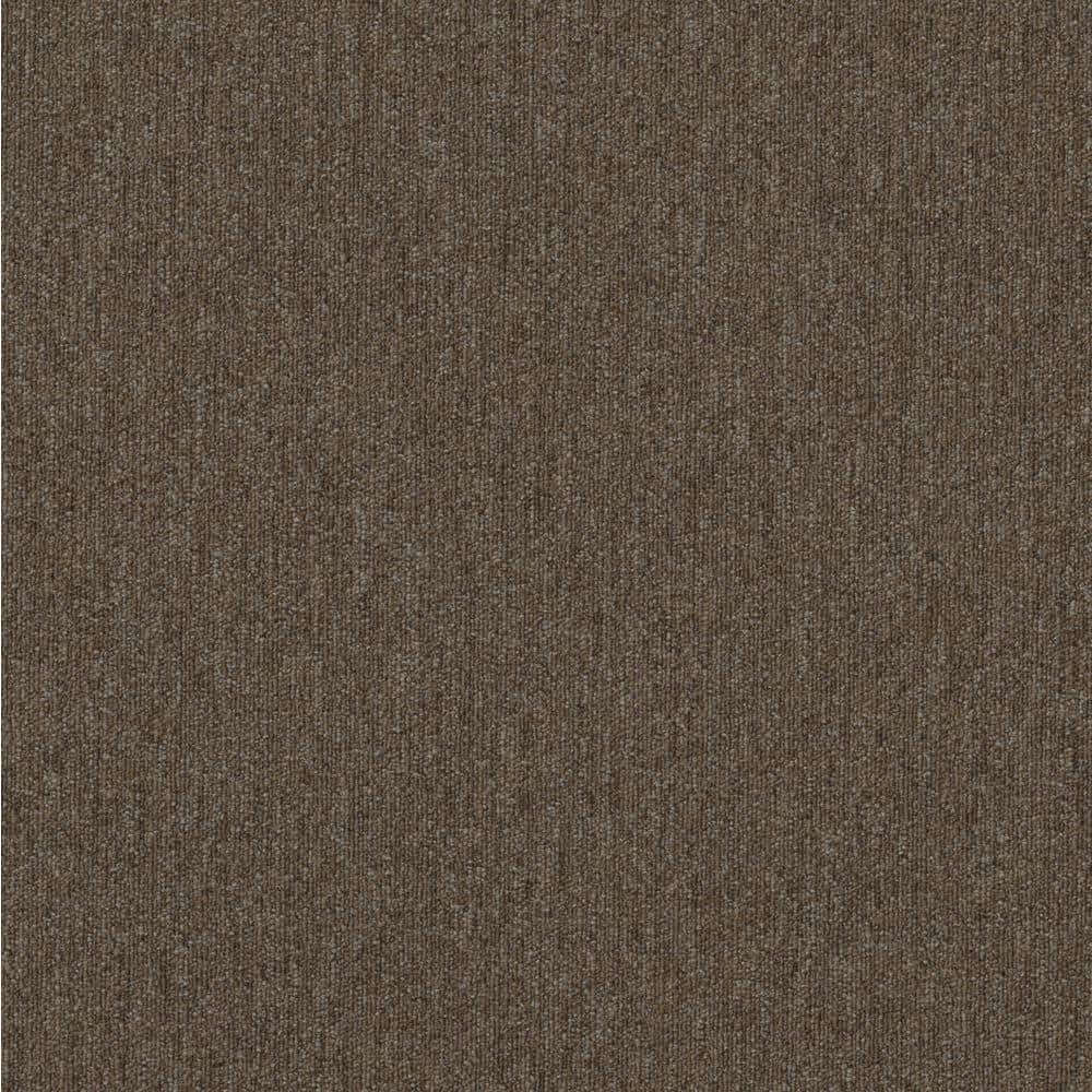 Shaw Hampton Brown Residential/Commercial 24 in. x 24 Glue-Down Carpet ...