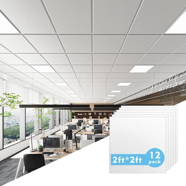 2 ft. x 2 ft. Simple White PVC Drop In Ceiling Tile, case of 12 (48 sq. ft. )