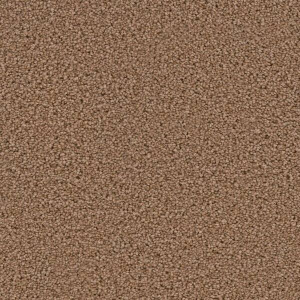 Home Decorators Collection Carpet Sample - Around The Clock II - Color Playlist Texture 8 in. x 8 in.