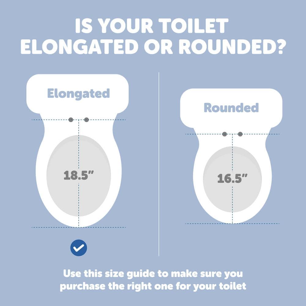 White Elongated Toilet Seat with Built-In Potty Training Seat
