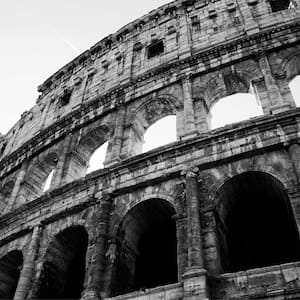 Commodus Frameless Black and White Natural Photography Wall Art 30 in. x 30 in.