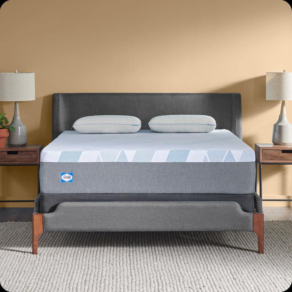 Dreamlife California King Soft Memory Foam 12 in. Bed-in-a-Box Mattress