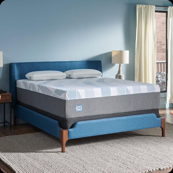 Sealy Dreamlife King Soft Memory Foam 14 in. Bed-in-a-Box Sealy Dreamlife King Soft Memory Foam 14 in. Bed-in-a-Box
