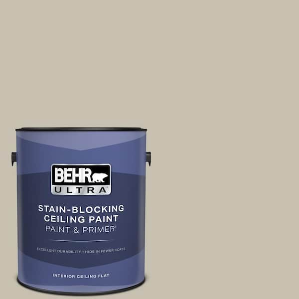 1 gal. #PPU8-17 Fortress Stone Ceiling Flat Interior Paint & Primer