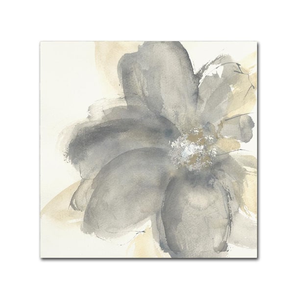Floral Gray I by Chris Paschke Floater Frame Nature Wall Art 18 in. x 18 in.