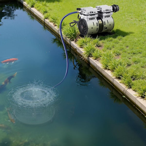 fish pond supplies and accessories Amazon.com: MAQIHAN Barley Straw for Ponds - Natural Filter Media with 10 Mesh Bag 150 Gallons Fish Pond Supplies | Pond