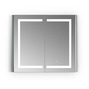 Bojano 36 in. W x 32 in. H Small Rectangular Silver Recessed/Surface Mount Medicine Cabinet with Mirror and Lighting