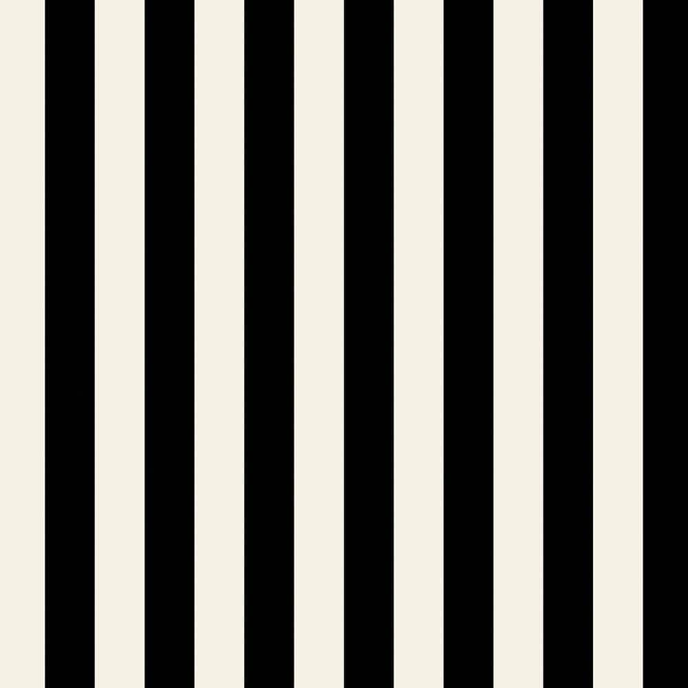 Pearl and Black Striped Vinyl Wallpaper Roll