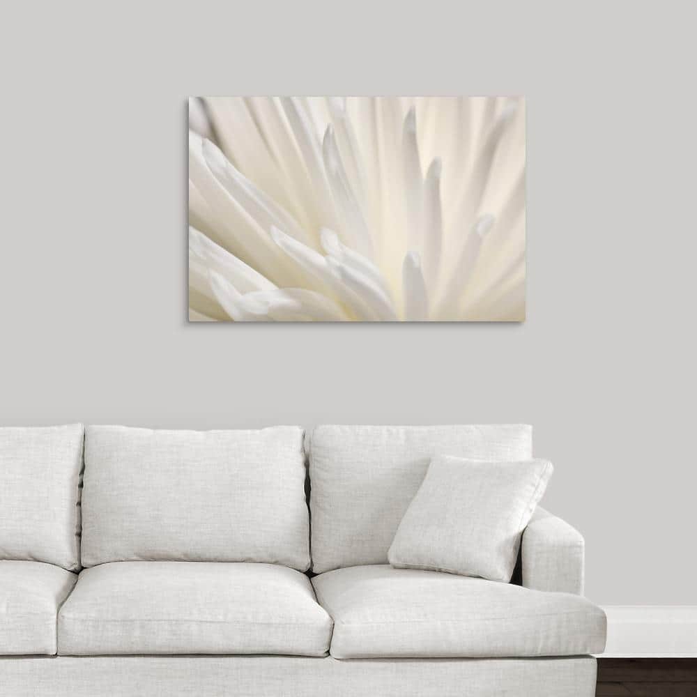 White Flower by PhotoINC Studio Canvas Wall Art price history on PriceWatchPro