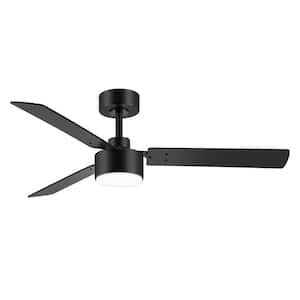 Tyrone 48 in. Integrated LED Indoor Black Ceiling Fan with Light and Remote Control Included