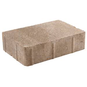 Vintage 8.86 in. L x 5.91 in. W x 2.36 in. H Silver Shell Concrete Paver