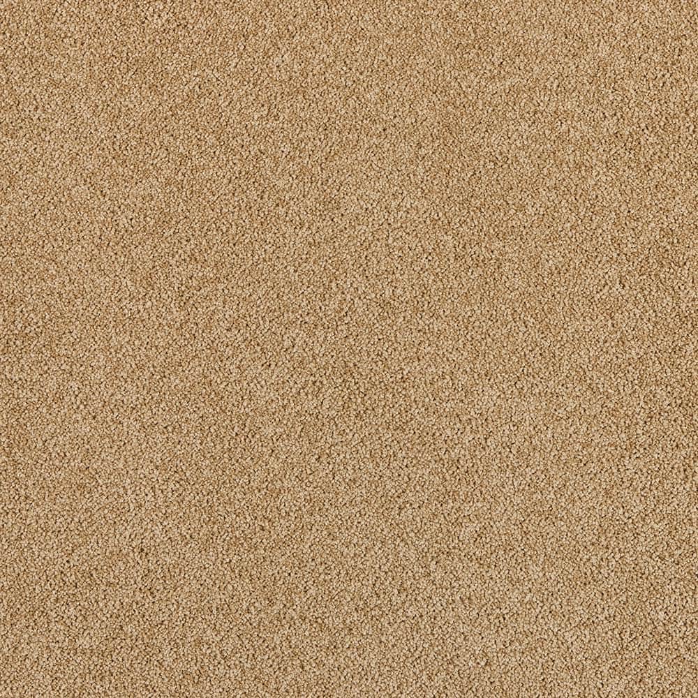 8 in. x 8 in. Texture Carpet Sample - Tailored Trends III -Color Vintage price history on PriceWatchPro