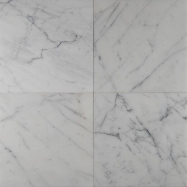 MSI Statuary Venato 12 in. x 12 in. Polished Marble Floor and Wall Tile (10 sq. ft./Case)